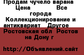 Продам чучело варана. › Цена ­ 15 000 - Все города Коллекционирование и антиквариат » Другое   . Ростовская обл.,Ростов-на-Дону г.